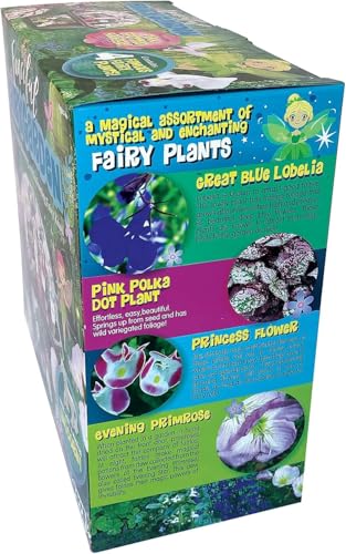 Toys by Nature Fanciful Fairy Biosphere Terrarium Starter Kit, Complete Supplies Included to Create Your Own Enchanting Garden and Indoor Plants! (Fanciful Fairy Garden) - style: Fanciful Fairy Garden