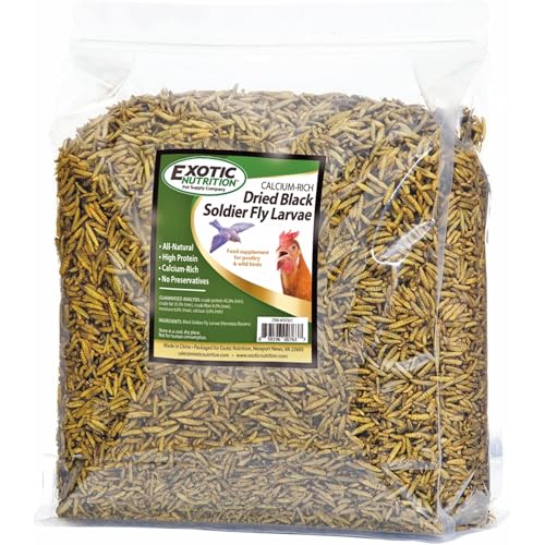 Exotic Nutrition 20 LB Bulk Dried Black Soldier Fly Larvae - High-Calcium Insect Treat - Chickens, Wild Birds, Bluebirds - size: 20 Pound (Pack of 1)
