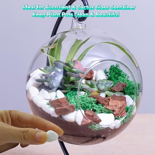 5 LB White Gravel 0.5 Inch Pebbles for Plants & Aquarium | White Gravel for Plants, Succulents, Cacti, Aquariums, Fish Tanks, Vases, Landscaping & Indoor Decorative