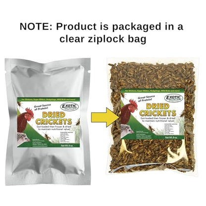 1/2 Pound Dried Crickets - High Protein Insect Treat - Chickens, Wild Birds, Hedgehogs, Bluebirds, Reptiles, Sugar Gliders, Opossums, Skunks, Lizards, Bearded Dragons, Fish, Turtles 8 oz. (1 Pack)