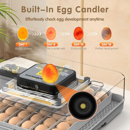 Egg Incubator 48 Eggs Automatic Egg Turning Chicken Incubators for Chicken, Ducks, Goose, Pigeon, Quail, Parrot Incubator for Farm - size: 48 eggs
