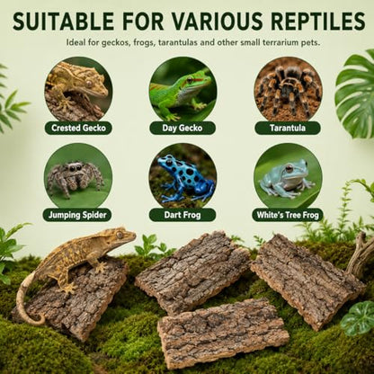 SHINEOFI 4 Pack Natural Cork Bark Reptile Hides for Terrariums | Random-shaped bark pieces for hides, basking platforms and enclosure landscaping for geckos, lizards, snakes and tortoises