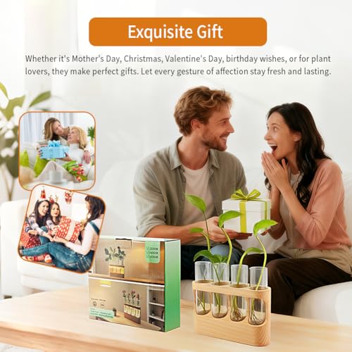 Rechargeable Plant Propagation Station with Wooden Stand,Desktop Terrarium Home Decor Dimmable LED Light 4 Glass Tubes Vases for Hydroponic Plants for Women