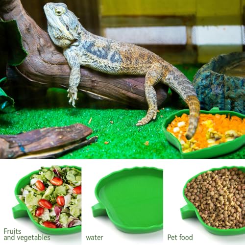 2 Pcs Leaf Reptile Food Water Bowl Plate Dish for Tortoise, Lizards, Young Bearded Dragons, Small Snakes, 2 Sizes
