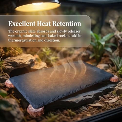 Bearded Dragon Basking Platform with Wooden Stakes, Large Reptile Feeding Station & Tank Accessories, Natural Slate Rock for Climbing and Teething, Habitat Decor for Lizard (Black)