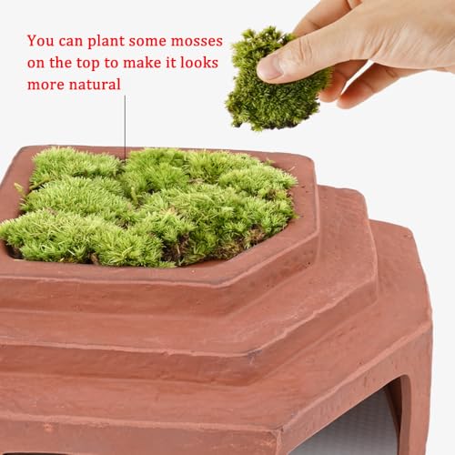 Reptile Habitat Décor Hideouts Basking Platform with Ramp for Aquatic Turtles Reptile Hide Cave Resting Terrace for Tortoise, Bearded Dragon,Leopard Gecko,Lizard