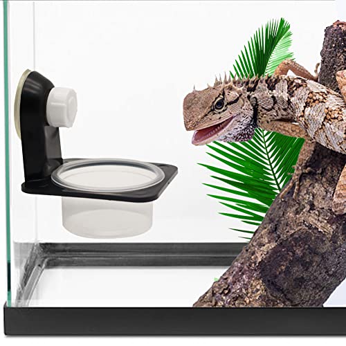 Crested Gecko Feeding Ledge with 20 Pcs Bowls, Suction Cup Reptile Feeder | Detachable Plastic Reptile Feeding Dish for Gecko Lizard Spider, Food & Water Feeding for Glass Tank Terrarium (Single) - style: Single