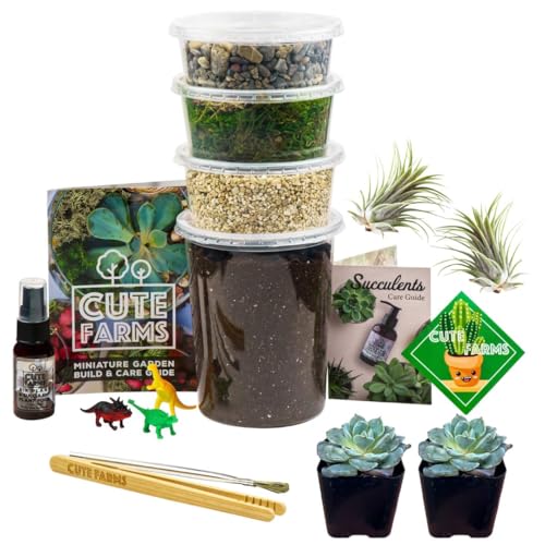 Terrarium Starter Kit | Moss, Vermiculite, Soil, Pebbles, Plant Food, Finishing Tools, Build and Care Guide | DIY Succulent Terrarium for Adults and Kids (Large + Live Plants) - size: Large Kit + Live Plants