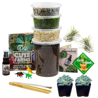 Terrarium Starter Kit | Moss, Vermiculite, Soil, Pebbles, Plant Food, Finishing Tools, Build and Care Guide | DIY Succulent Terrarium for Adults and Kids (Large + Live Plants) - size: Large Kit + Live Plants
