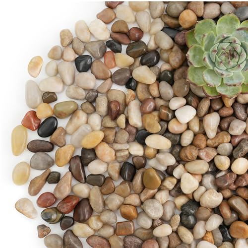 NUPICK 3lb River Rocks for Plants Indoor, 1/5" Pea Gravel for Fish Tank | Decorative Mixed Pebbles for Vase Fillers, Natural Polished Stones for Succulent, Bonsai, Landscaping, Bird Baths - color: MIX, size: 3Lb(1/5")