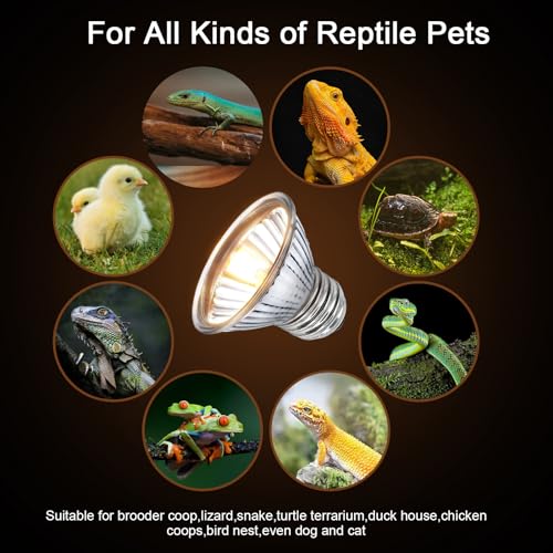 Turtle Reptile Heat Lamp Bulb 50W 120V,4Pcs Heat Bulb | UVA Reptile Light for Turtle Tank,Fits Reptiles and Amphibian Tanks, Terrariums and Cages, Works with Various Lamp Fixtures