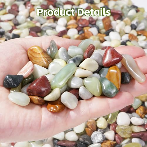 5 lbs Succulent Rocks,1/2 Inch Colorful Pebbles,Decorative Rocks for Potted Plants,Suitable for Vases, Cactus Potted Plants, Fish Tanks,Fountain - color: Mixed Color, size: 1/2 Inch 5 LB