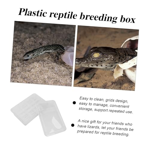 BESPORTBLE 20Grids Plastic Hatching Incubation Box for Reptiles Durable Container for Lizard Eggs Snake Incubators Gecko Egg Hatching Lightweight Design for Easy Use Storage