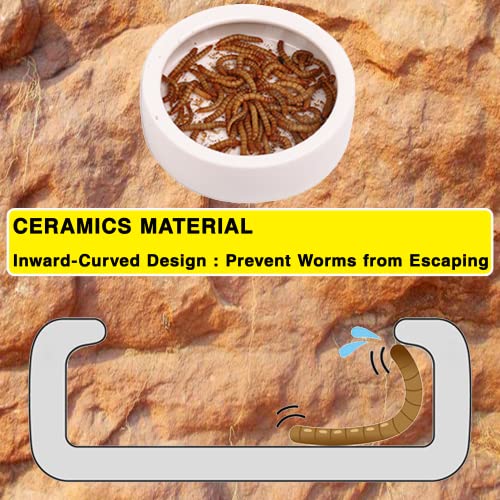 2Pcs Mini Reptile Food Dish Bowls Worm Water Dish Feeder Lizard Gecko Ceramic Pet Bowls with Tongs for Tortoise Lizard Bearded Dragon Frog Leopard Gecko Snake Chameleon(Small, 1.93Inch)