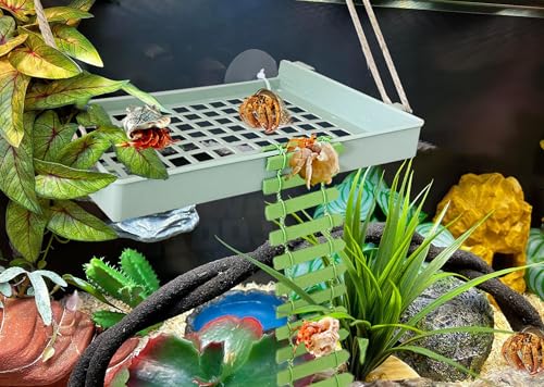 Hermit Crab Climbing Toys Reptile Ladder Plastic Grid Habitat Hammock for Hamster Guinea Pig (Green) - style: Classic
