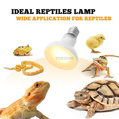 Heat Lamp Bulbs Reptile Basking Light Spot Daylight for Bearded Dragon,Lizard,Tortoise,Amphibian 100W(2 Pack)