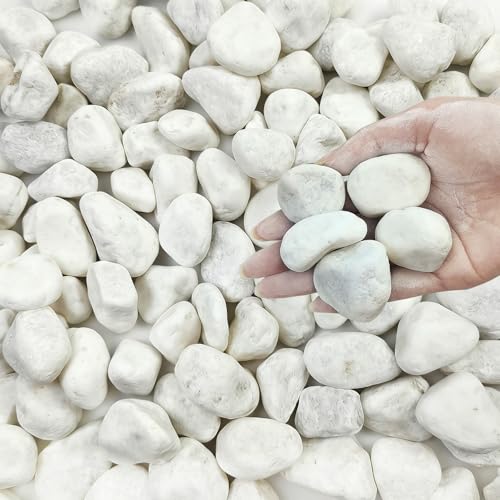 FANTIAN 10 lbs White Gravel for Landscaping, 1-2 Inch Pebbles for Indoor Plants, Decorative River Rocks for Succulent, Vases, Aquariums, Crafting and Garden - color: White, size: 10 lbs, 1-2 Inch