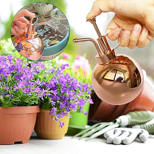 Stainless Steel Plant Sprayer, Small Watering Can Plant Misting Bottle, Modern Gardening Tools for Indoor Potted Plants Watering and Misting - color: 17oz/ Rose Gold