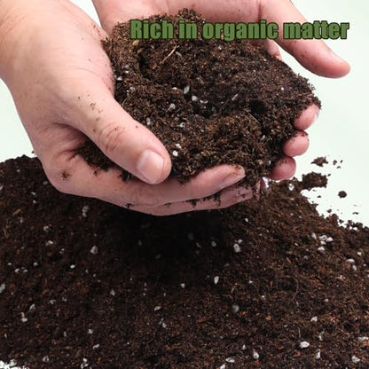 Doter Potting Soil Mix for Hoya 1qt, Custom Hand Blended Mixture Suitable for Indoor/Outdoor Potted Fern Plant - size: 1qt