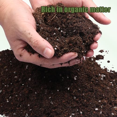 Doter Potting Soil Mix for Hoya 2qt, Custom Hand Blended Mixture Suitable for Indoor/Outdoor Potted Fern Plant - size: 2qt