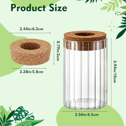 6 Set Propagation Station Jar Desktop Glass Planter Station Flower Vases Water Terrarium Jar with Cork Lid for Propagating Flower Plants Centerpiece Office Home Garden Decor (Small) - size: Small