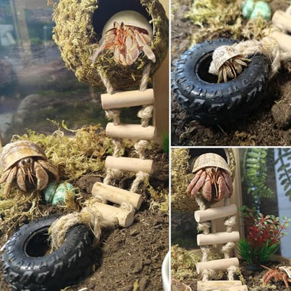 Hermit Crab Moss Coconut Shell Hideout with Climb Ladder,Leopard Gecko Hide Hut with Moss and Sea Shells,Hermit Crab Climbing Tank Accessories for Crested Gecko,Reptiles