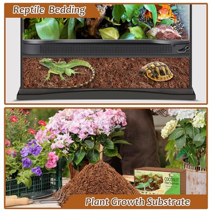 Riare 8 Pack Natural Coconut Fiber Substrate, Coco Coir Reptile Substrate | Coconut Husk Reptile Bedding for Tortoises, Snakes, Geckos, Bearded Dragons & Hermit Crabs, Enclosures & Terrarium Setups - color: 8 pack