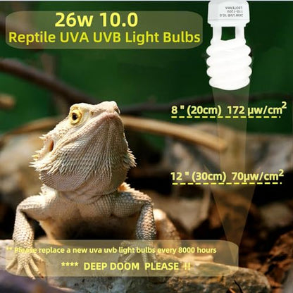 Leoterra Reptile UVB Light Bulb 26W 10.0, High Intensity UVB Light for Bearded Dragon, Veiled Chameleons & Adult Red-Eared Sliders in Large Terrarium, Powerful UVA UVB for Reptile - size: 26w 10.0