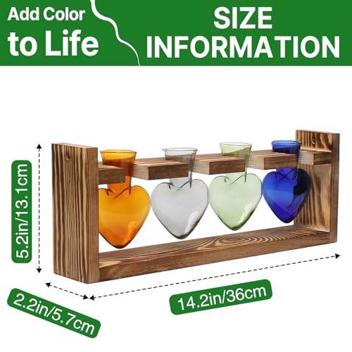 Plant Propagation Stations Heart Plant Terrarium Kit | Gift for Women Plant Lover Glass Vases - color: Color01
