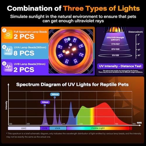 UV Reptile Heat Lamp, UVA UVB Reptile Light with Clamp and Intelligent Cycle Timer for Turtle, Bearded Dragon, Lizard and More,2 Bulbs 50W+UVAUVB