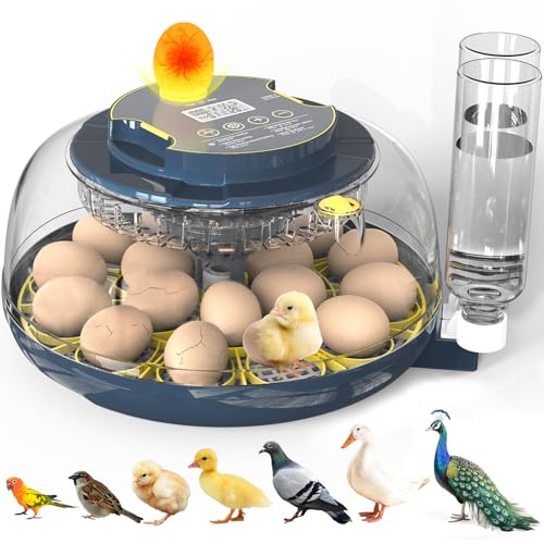 Incubators for Hatching Eggs, 18 Eggs Incubator with Egg Candler, Auto Egg Turner, Temp & Humidity Control, Hatch Day, Auto Water Refill, 2 Size Egg Tray, 360° Viewing for Chicken, Duck, Quail - size: 18 Eggs