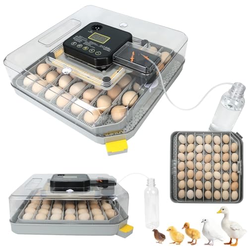 Nest IV - 48 Egg Incubator for Breeders, Fully Automated, Accurate Humidity & Temp Control, Chick Separator, Flexible Egg Spacing, Custom Incubation Days, Auto Turning & Auto Stop, Easy Monitoring - size: 48 Egg [Black]