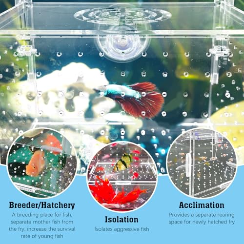 Hamiledyi Acrylic Breeding Isolation Box - Transparent Aquarium Hatchery for Guppy/Shrimp/Small Fish, Safe Nursery Tank with Air Tube & Suction Cups(5.9" × 3.9" × 3.9") - size: S(5.9" × 3.9" × 3.9")