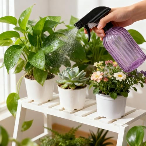 Glass Plant Mister Spray Bottle 15oz Purple Adjustable Nozzle for Gardening | 360° 3 spray modes, fine dew-like mist, thick glass, visible water level, 2pack mist sprayer for cleaning hair pets plants - color: Purple