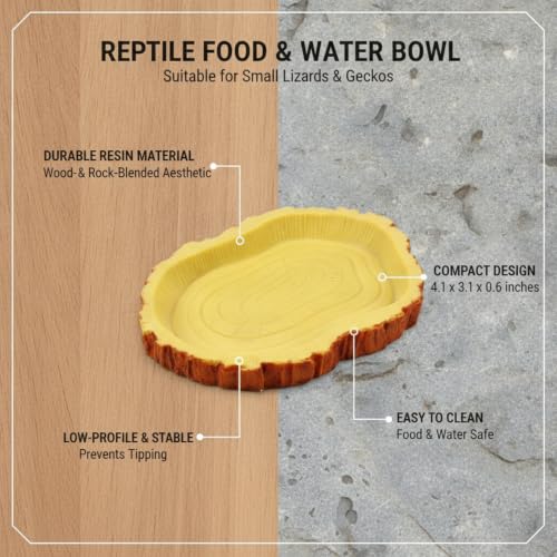 Reptile Food and Water Bowl, Low-Profile Resin Dish for Terrarium Habitat, Stable Feeding Station for Small Lizards and Geckos (1 PC)