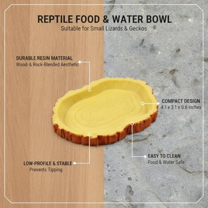 Reptile Food and Water Bowl, Low-Profile Resin Dish for Terrarium Habitat, Stable Feeding Station for Small Lizards and Geckos (1 PC)