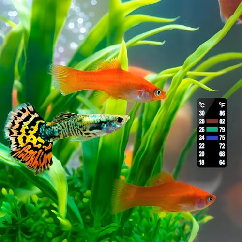 AQUANEAT 6 PCS Aquarium Thermometer Strips, Fish Tank Thermometer Sticker, Terrarium Water Temperature Test (1.58" x 0.67") - size: 1.58" x 0.67"