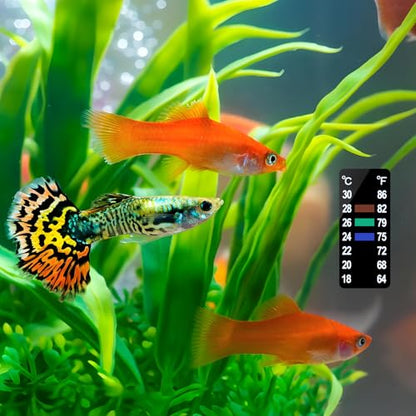 AQUANEAT 6 PCS Aquarium Thermometer Strips, Fish Tank Thermometer Sticker, Terrarium Water Temperature Test (1.58" x 0.67") - size: 1.58" x 0.67"
