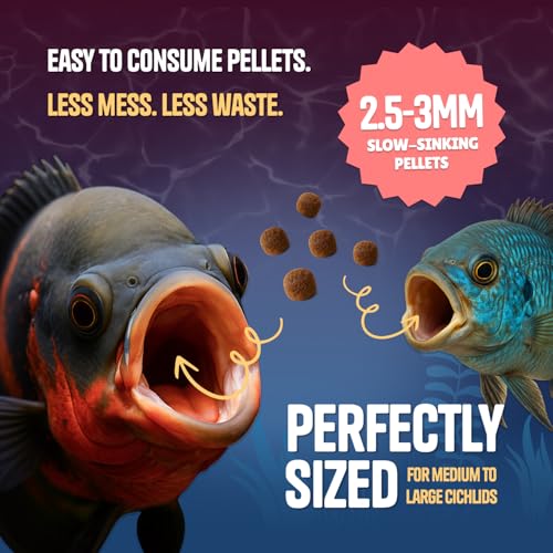Pure Predator Cichlid Pellets | High Protein Cichlid Fish Food | Sinking Fish Food Pellets for Freshwater & Tropical Fish | Oscar & Large Cichlid Food | Aquarium Fish Food 3.5oz