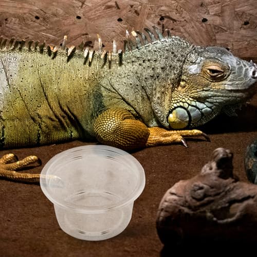 50pcs Small Reptile Water Dish and Food Bowl Set 25ml Plastic Terrarium Feeding Cups for Leopard Gecko, Snake, Frog, Lizard, Bearded Dragon, Suitable for Amphibians and Insect Pets