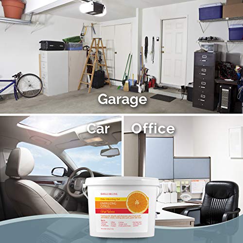SMELLS BEGONE 1-Gallon Gel Odor Eliminator – High-Capacity, Long-Lasting Absorber for Large Basements, Garages, Workshops & Commercial Areas – Remove Tough Odor with Essential Oils (Energizing Citrus)