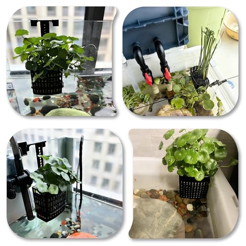 Adjustable Aquarium Plant Holder, Top Hanging Design Fish Tank Plant Holder | 2 Pack Upgraded Aquarium Plant Holders, Adjustable Width Height, Fits Tank Edges up to 2.3 in, for Aquaponics Aquascaping