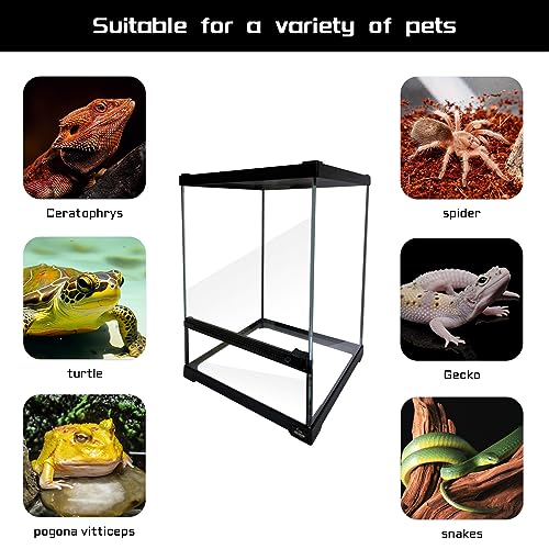 Reptile Glass Terrarium Tank 10 * 10 * 14in, Full View with Front Opening Door,Amphibians Enclosure Habitat Cage for Crested Gecko,Spider,Tarantula,Lizard,Hermit Crab,Frog,Mantises,Insects - size: 10x10x14 inch