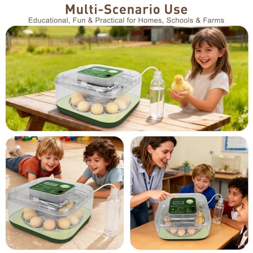 Series IV - 12 Egg Fully Automatic Incubator, Low Maintenance, Intelligent Sensor-Based Precise Humidity & Temp Control, Custom-Interval Auto Turn & Auto Stop, Preset Incubation Days, Candler, Alarms - size: New 12-Egg Green