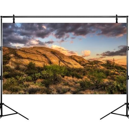 Reptile Terrarium Background Sunset Over Rocks Terrarium Background Reptile Tank Background Desert Thorns Rocky Bush Reptile Habitat Background Bearded Dragon Fish Tank Aquarium Background 24x12in - color: Gobi Grey, size: 24(W)x12(H)inches/ 60(W)*30cm(H)