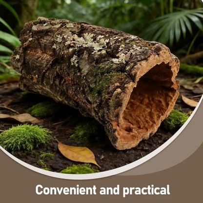 Reptile Hide Log: Gecko Hide Cave Hiding Place - Aquarium Cave Hideaway Ornament - Hollow Tree Trunk Ornament Tortoise House 7-8cm in Diameter - size: 15.00X7.00X7.00CM