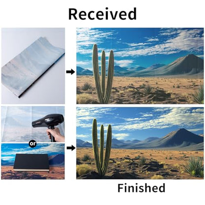 3 PCS Terrarium Background, 48x24 inch Polyester Reptile Backgrounds | Cloth Terrarium Background, Tropical Green Tree Fern & Gobi Desert Sunshine Cactus Rock Terrarium Background - size: 48x24 Inch
