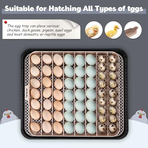 Sailnovo 56 Egg Incubator for Hatching Eggs with Automatic Egg Turning Gray | Auto Humidification, Stable Temperature Control, Built-in Candler, View Window, Alert System for Lab School Farm - color: Gray