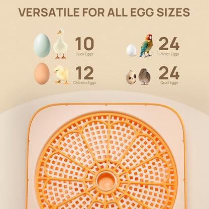 TURBRO Incubator for Hatching Eggs, Automatic Turning, Temperature & Humidity Control, Built-in Candler, 60° Viewing, 12 Egg Incubators for Chicken, Duck, Quail, Turkey, Goose, Parrot, Bird | 12 Egg Incubators , Built-in Candler, Automatic Turning, 360° V