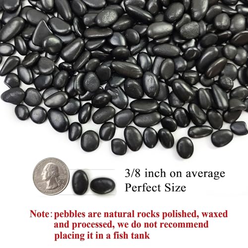FANTIAN 5 lbs Pebbles for Indoor Plants. 3/8 inch Small Black Stones, Decorative Black River Rocks for Plant Outdoor, Vase, Landscaping and Garden - size: 5 pounds, style: Black